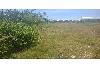 Vacant Lot Near Mactan-Cebu International Airport for Sale, Lapu-Lapu